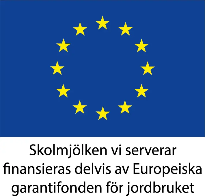 EU's blå flagga med 12 gula stjärnor i en cirkel. Illustration.